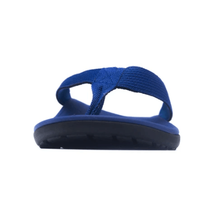 Axign slides online