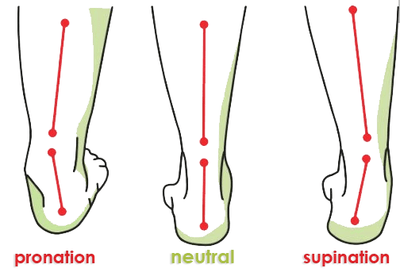 Foot HQ Footwear Chung Shi AuBioMo® Comfort Step - Classic Sneaker Black (Womens)