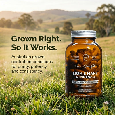 Lions Mane Whole Mushroom Capsules